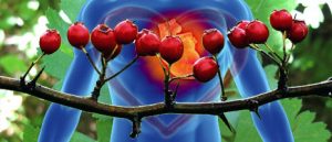 Read more about the article Korisnost gloga