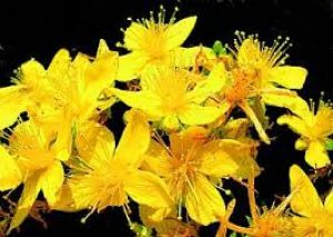 Read more about the article ANKSIOZNOST-kako neutralisati strahove ?