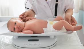 Read more about the article Anis