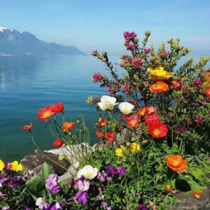 Read more about the article Glog