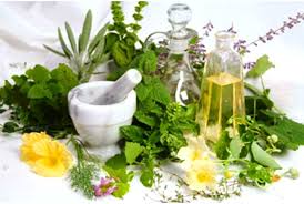 Read more about the article Lekovite biljke i njihova primena