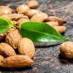 Badem (lat. Prunus dulcis)