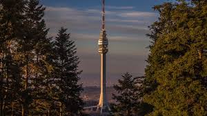 Globalni trendovi motociklizma